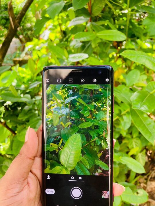 Sony xperia xz 3 (au)